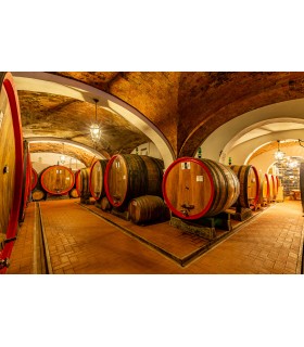 6 BOUTEILLES DE 75CL DE VIN BLANC VERMENTINO DI TOSCANA IGT 2022 DU DOMAINE SVETONI