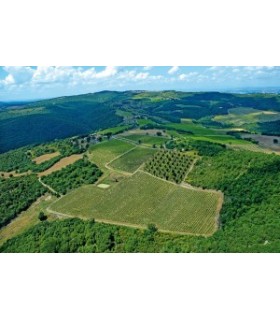 BOUTEILLE DE 75CL DE VIN ROUGE ROSSO DI MONTALCINO DOC 2021 DU DOMAINE VENTOLAIO