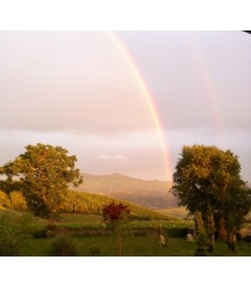 BOUTEILLE DE 75CL DE VIN ROUGE ROSSO DI MONTALCINO DOC 2021 DU DOMAINE VENTOLAIO