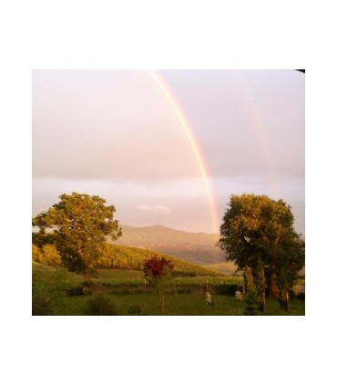 BOUTEILLE DE 75CL DE VIN ROUGE ROSSO DI MONTALCINO DOC 2021 DU DOMAINE VENTOLAIO