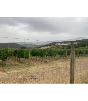 BOUTEILLE DE 75CL DE VIN ROUGE ROSSO DI MONTALCINO DOC 2021 DU DOMAINE VENTOLAIO