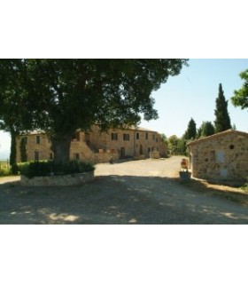 BOUTEILLE DE 75CL DE VIN ROUGE BRUNELLO DI MONTALCINO DOCG 2017 DU DOMAINE VENTOLAIO