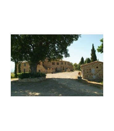 BOUTEILLE DE 75CL DE VIN ROUGE BRUNELLO DI MONTALCINO DOCG 2017 DU DOMAINE VENTOLAIO