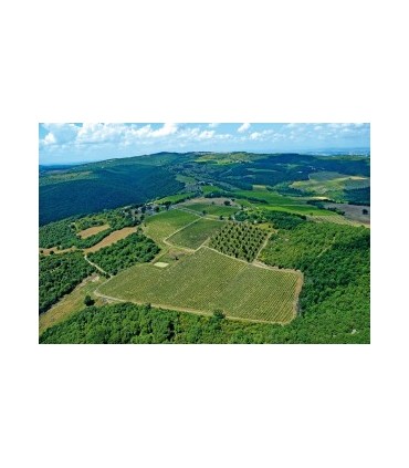 6 BOUTEILLES DE 75CL DE VIN ROUGE BRUNELLO DI MONTALCINO DOCG 2017 DU DOMAINE VENTOLAIO