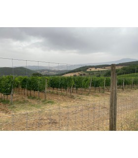 6 BOUTEILLES DE 75CL DE VIN ROUGE BRUNELLO DI MONTALCINO DOCG 2017 DU DOMAINE VENTOLAIO