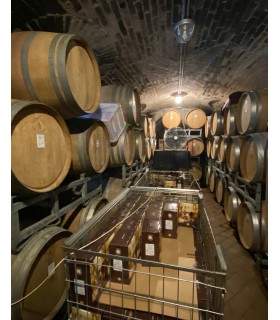 BOUTEILLE DE 75CL DE VIN BLANC LANGHE ARNEIS D.O.C. 2021 DU DOMAINE RABAGLIO