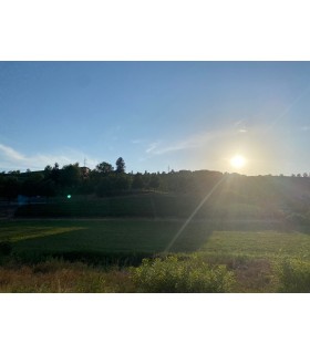 BOUTEILLE DE 75CL DE VIN ROUGE BARBARESCO "MERUZZANO" 2019 D.O.C.G. DU DOMAINE RABAGLIO