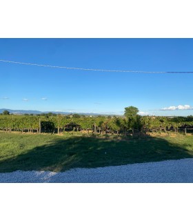 BOUTEILLE DE 75CL DE VIN ROUGE ROSSO DI MONTEPULCIANO DOC 2021 DU DOMAINE SVETONI