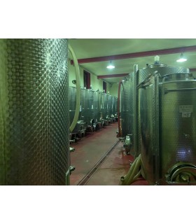 BOUTEILLE DE 75CL DE VIN ROUGE BAROLO "CASTAGNI" D.O.C.G 2018 DU DOMAINE REVERDITO