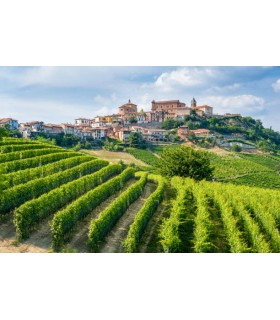 BOUTEILLE DE 75CL DE VIN ROUGE BAROLO "CASTAGNI" D.O.C.G 2018 DU DOMAINE REVERDITO