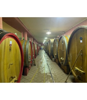 CARTON DE 6 BOUTEILLES DE 75CL DE VIN ROUGE BAROLO "CASTAGNI" D.O.C.G 2018 DU DOMAINE REVERDITO