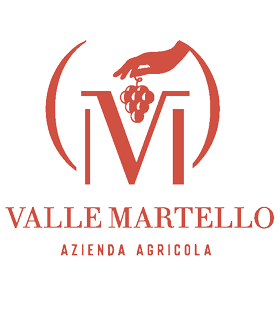 BOUTEILLE DE 75CL DE VIN ROUGE VILLAMAGNA DOC 2019 DU DOMAINE VALLE MARTELLO